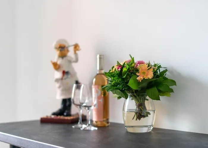 La Vie Moderne 巴登-巴登